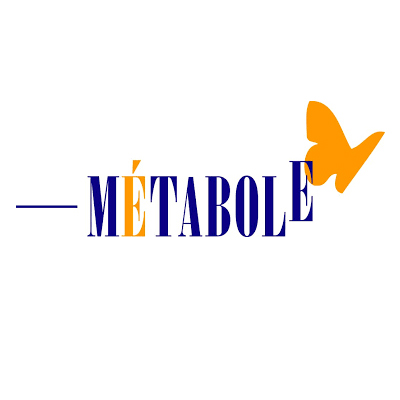 Metabole - association d'insertion des jeunes adultes
